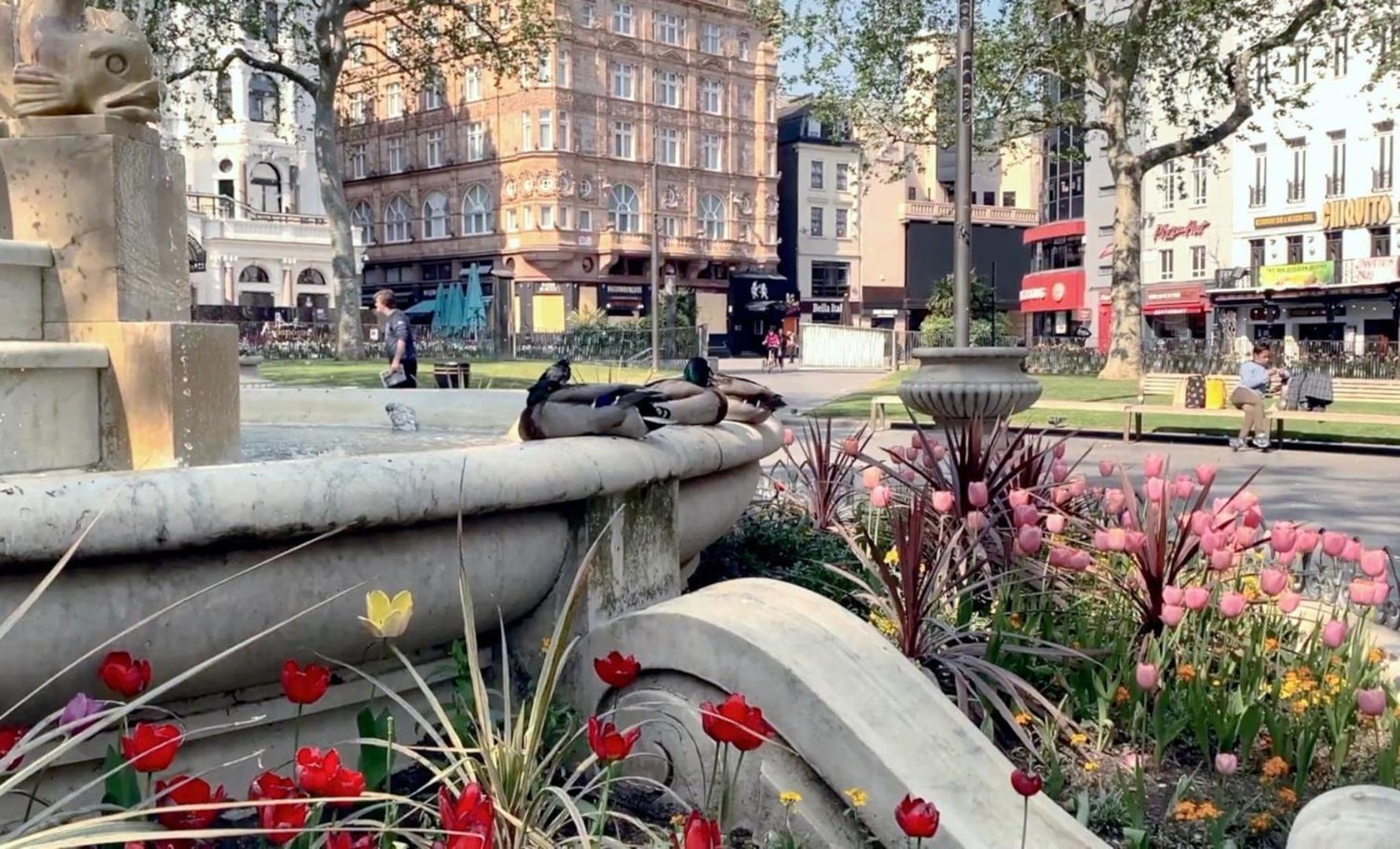 Fantastic 1 Bedroom Flat Leicester Square West End London Kültér fotó